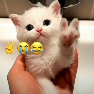 Peacecat | .gg/supacon