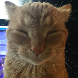 cooked  -  gg/pakistan