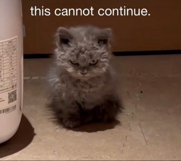 cannot continue (.gg/carry)