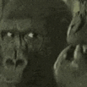 gorilla stare Discord sticker