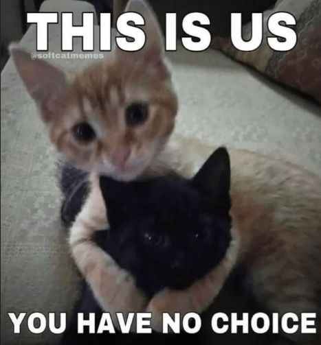 alizay x bella  gg/pakistan