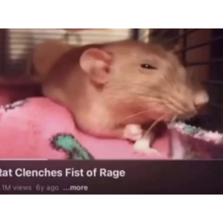 rat fist of RAGE