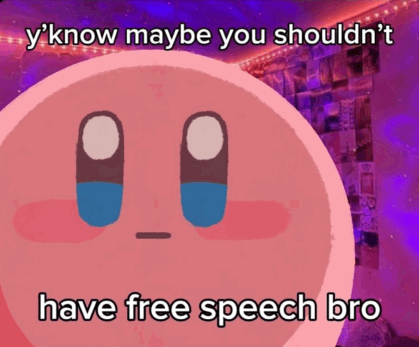 ❌ free speech