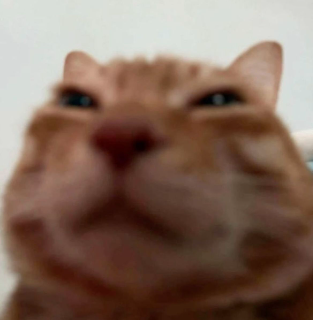 Somethings Not Adding Up...