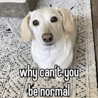 be normal 