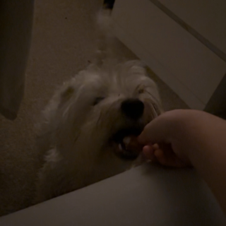 hungry lola /kaisers