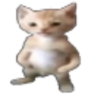 Tuff cat Discord sticker