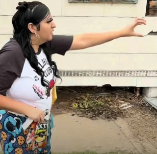 the force | .gg/wants