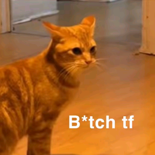 bitch tf Discord sticker