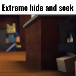 Hide and seek