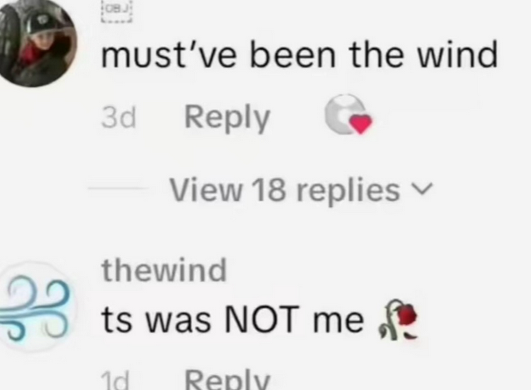 must've been the wind