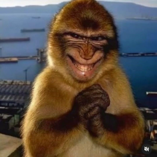 evil monkey