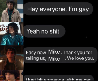 Mike Wheeler is Gay? /paladin