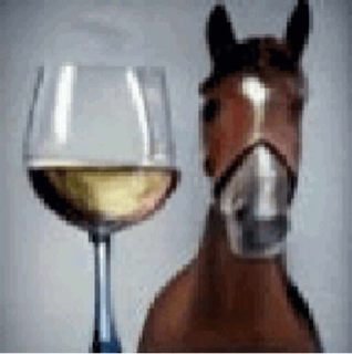Horse drinking .. Wine..?