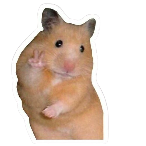 hamster