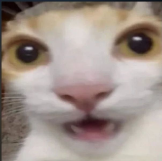 gasp Discord sticker