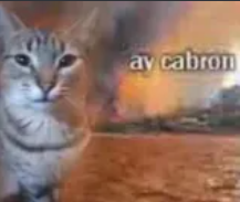 ay cabron | wermach.xyz