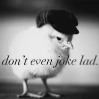 Don't joke