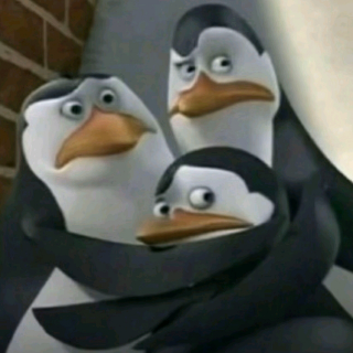 penguin scared | .gg/supacon