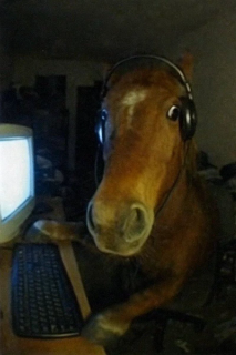 gamer horse