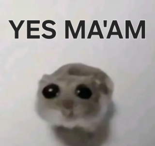 yes maam