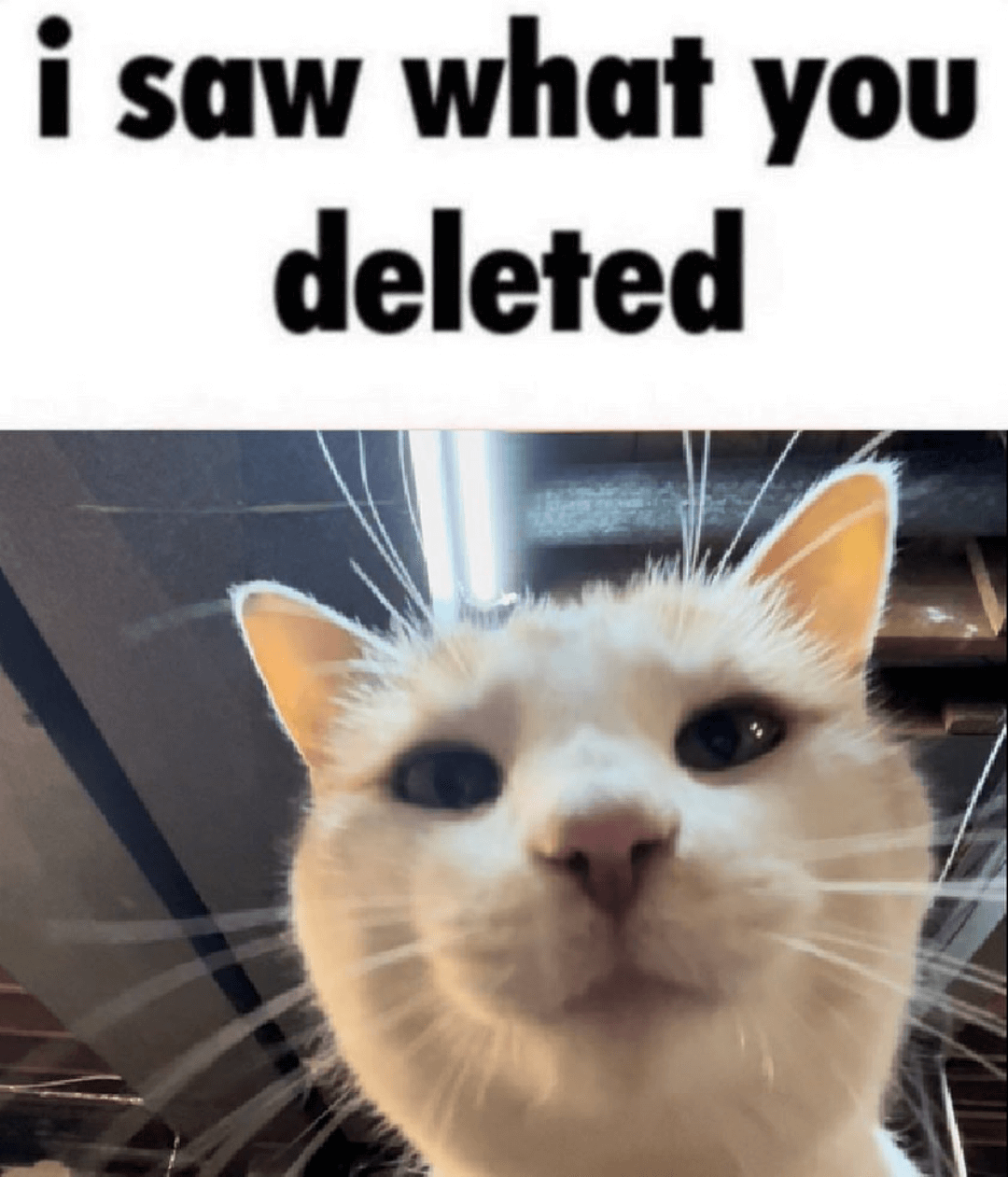 i saw ur deleted ⭑ /ghouliez