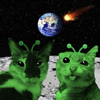 alien cats ⭑ /ghouliez