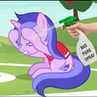 Bad Mare Spray 
