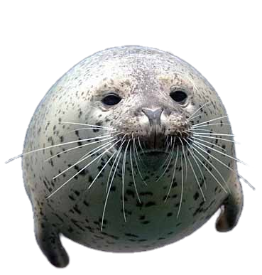 seal
