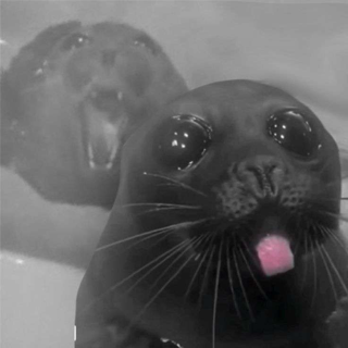 alpha boba seal ⭑ /ghouliez