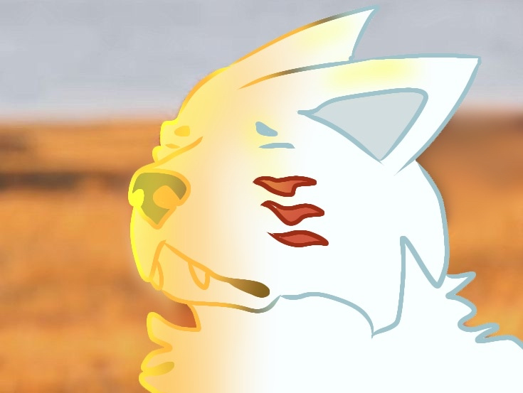 cooked akita Discord sticker