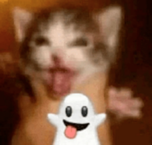 wazaaa Discord sticker