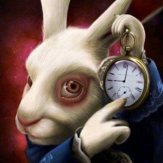 Rabbit with clock