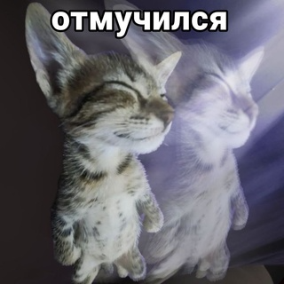 Отмучился  Discord sticker