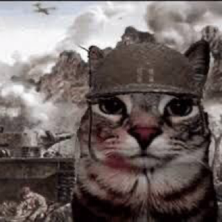 Ex: War