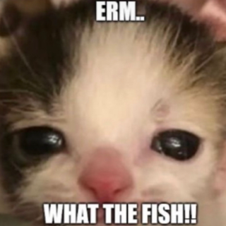 Erm