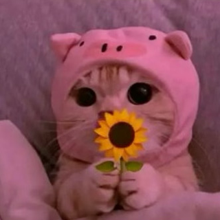 for you .gg/brattyx