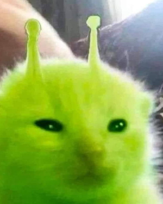 Glorp ‘ .gg/desired