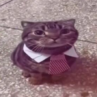 mirzay lala gg/pakistan