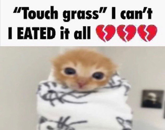 eated grass Discord sticker