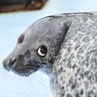 did they really just say that?