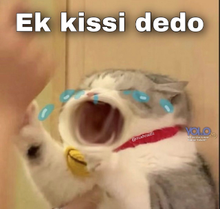 kissi