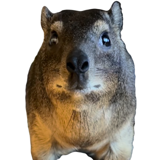 Bullshit with some fur