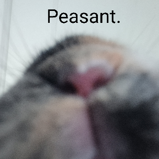 Bunny Peasant. /cheriies