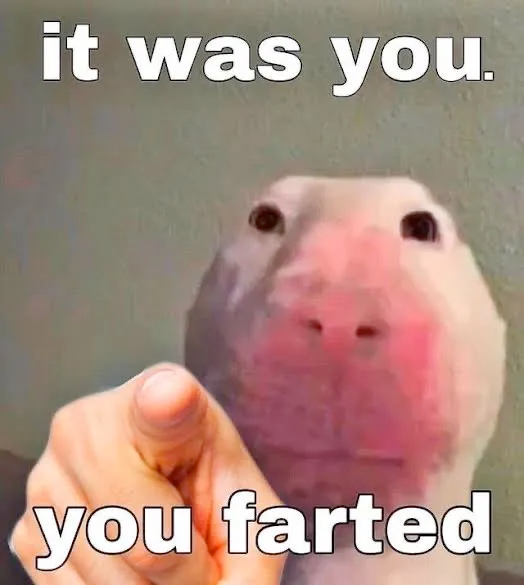 farted
