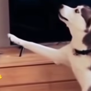 Hold Onnn Hold Onnnn