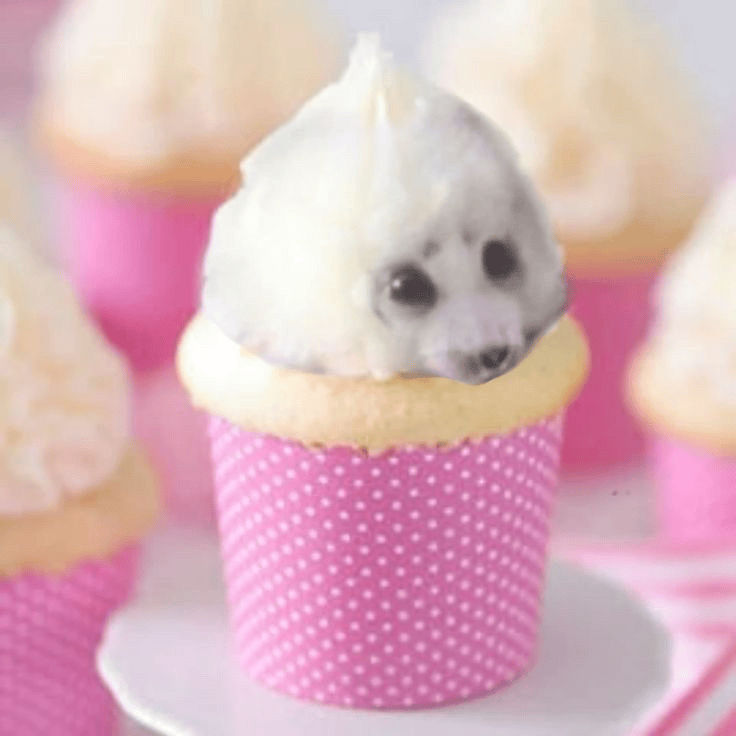 cupcake seal