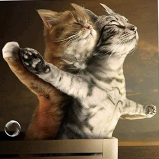 yajooj majooj gg/pakistan