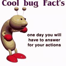cool bug fact