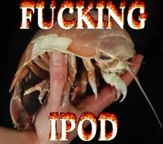 fucking ipod